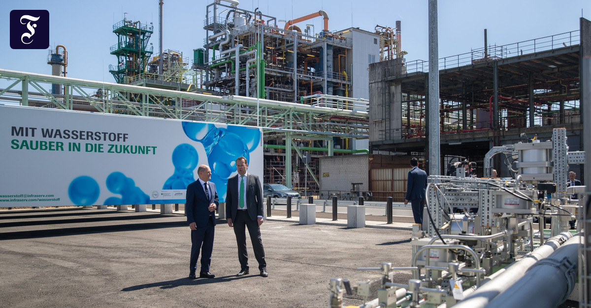 Energy transition: What will happen to hydrogen after the traffic light ...