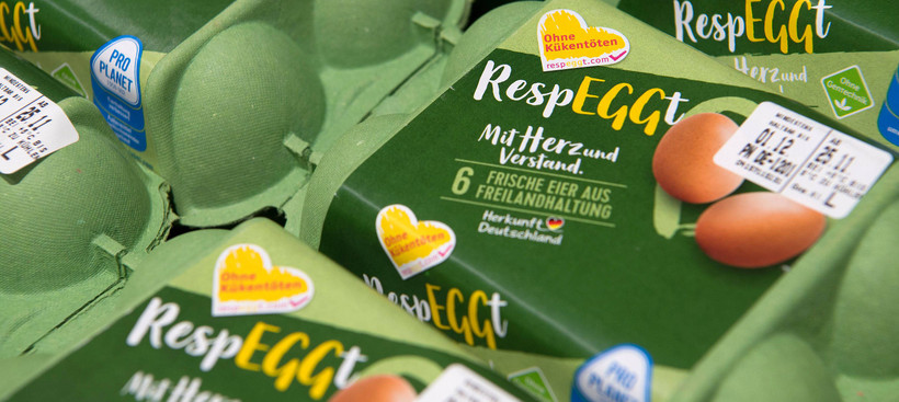  Eier aus einer neuen Methode gegen das Töten von Küken werden in einem Supermarkt in Berlin angeboten. 