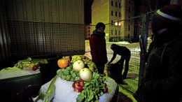 Wird das „Containern“ bald legal?