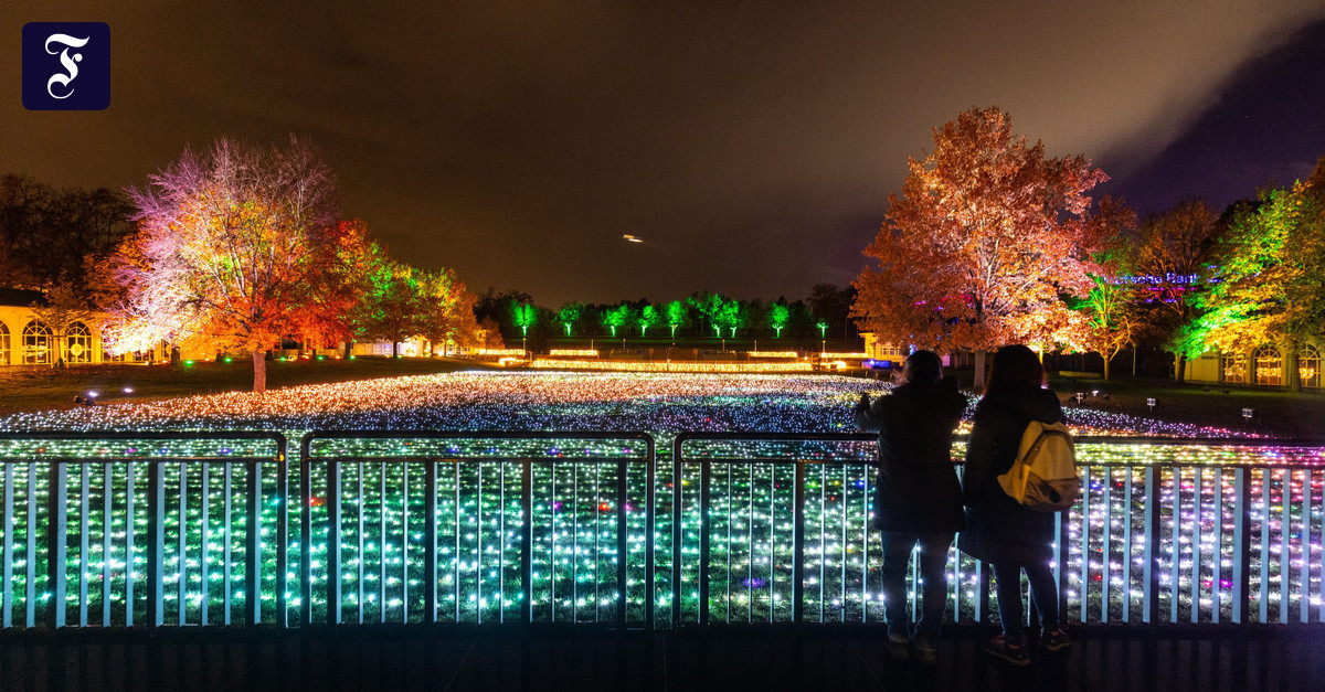 Christmas Garden Frankfurt Rezensionen