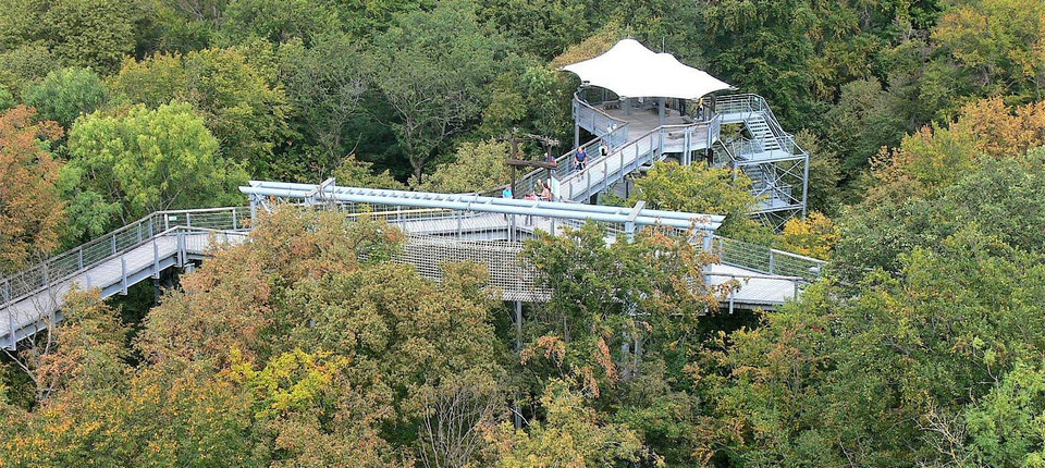 Über 540 Meter schlängelt der Pfad an Buchen- und Eichenkronen vorbei. Bild: Thomas Klein