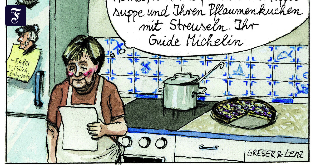 Verdienstorden für Merkel: Steinmeier verteidigt Merkels Russlandpolitik