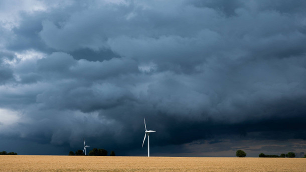 Im Schneckentempo Im Schneckentempo