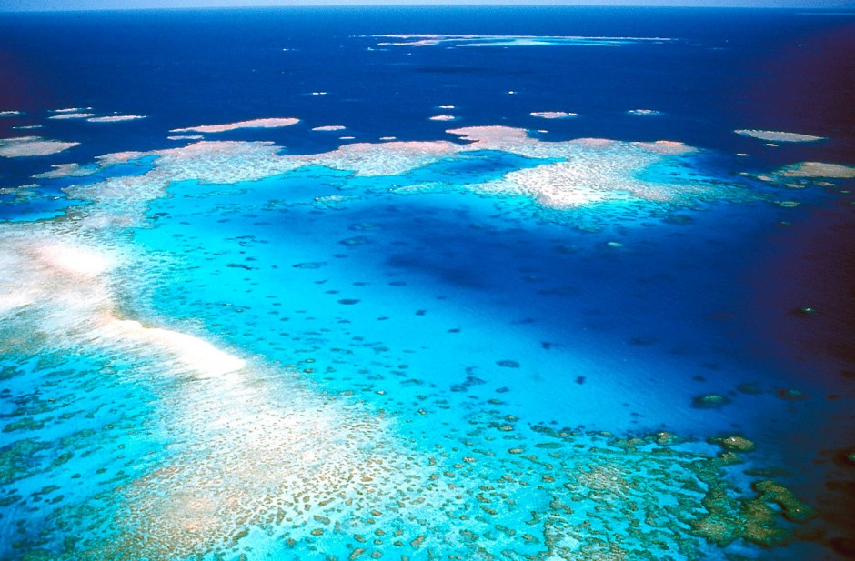 Bild zu GreatBarrierReef Wie viel kostet das größte Riff der Erde? Bild 1 von 1 FAZ Bild zu GreatBarrierReef Wie viel kostet das größte Riff der Erde? Bild 1 von 1 FAZ