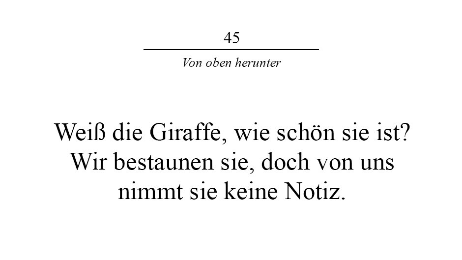Bildergalerie Dreizeiler eines Jahres Kilroy was here Bild 257 von