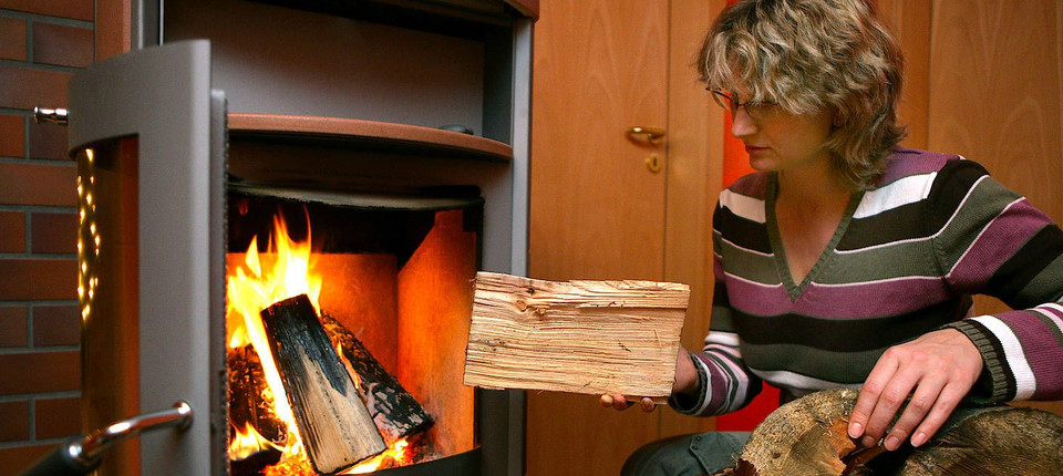 Buche oder Fichte: Welches Holz für den Kamin?
