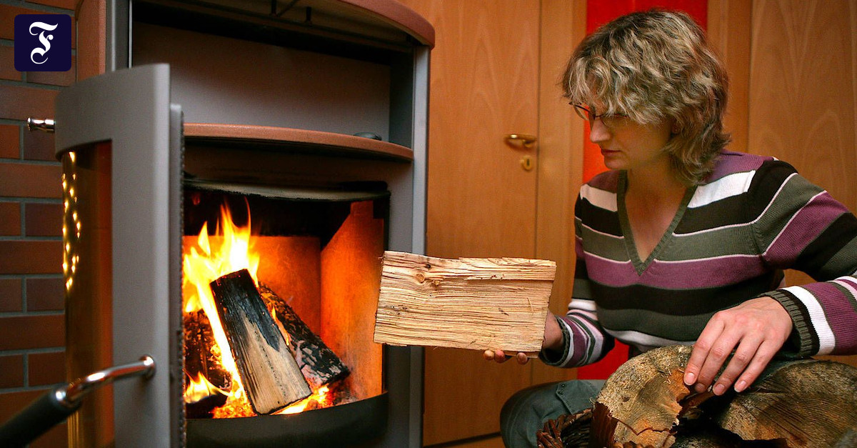 Buche oder Fichte: Welches Holz für den Kamin?