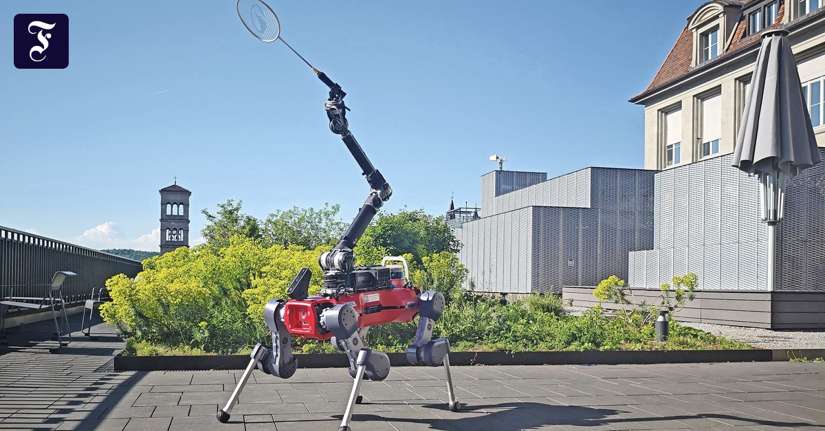 In the video: How a robot plays badminton