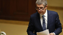 Die Mehrheit der Abgeordneten stimmte für seinen Verbleib: der tschechische Regierungschef Andrej Babis.