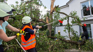 Die Einsatzkräfte der Feuerwehr Langen zerlegen einen umgestürzten Nussbaum, der ein Garagentor und Ausfahrten versperrt. 