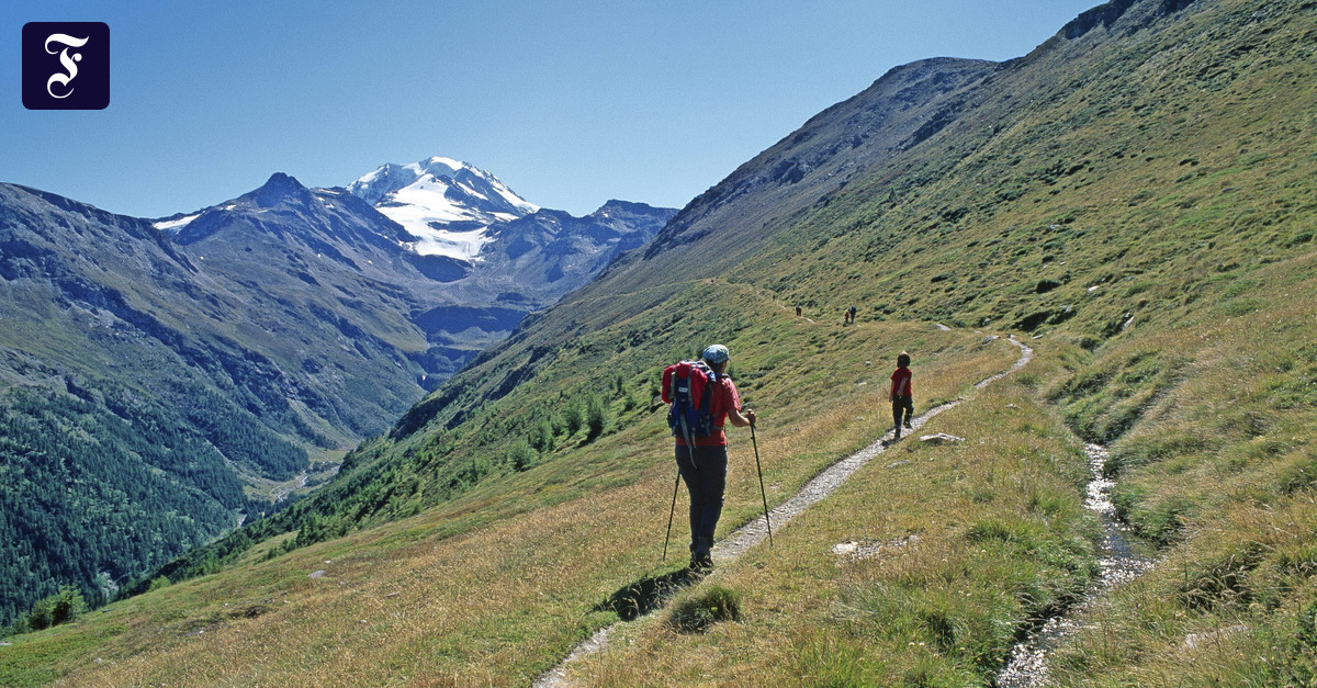 Hiking in Valais along the old irrigation canals