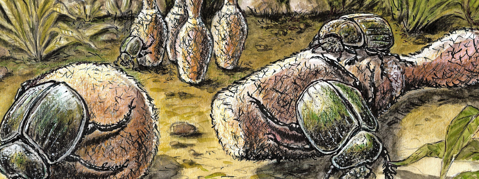 Wann kommt der Fortschritt für die Zivilgesellschaft?