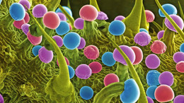 Kontrollierte Abschiede vom Ich