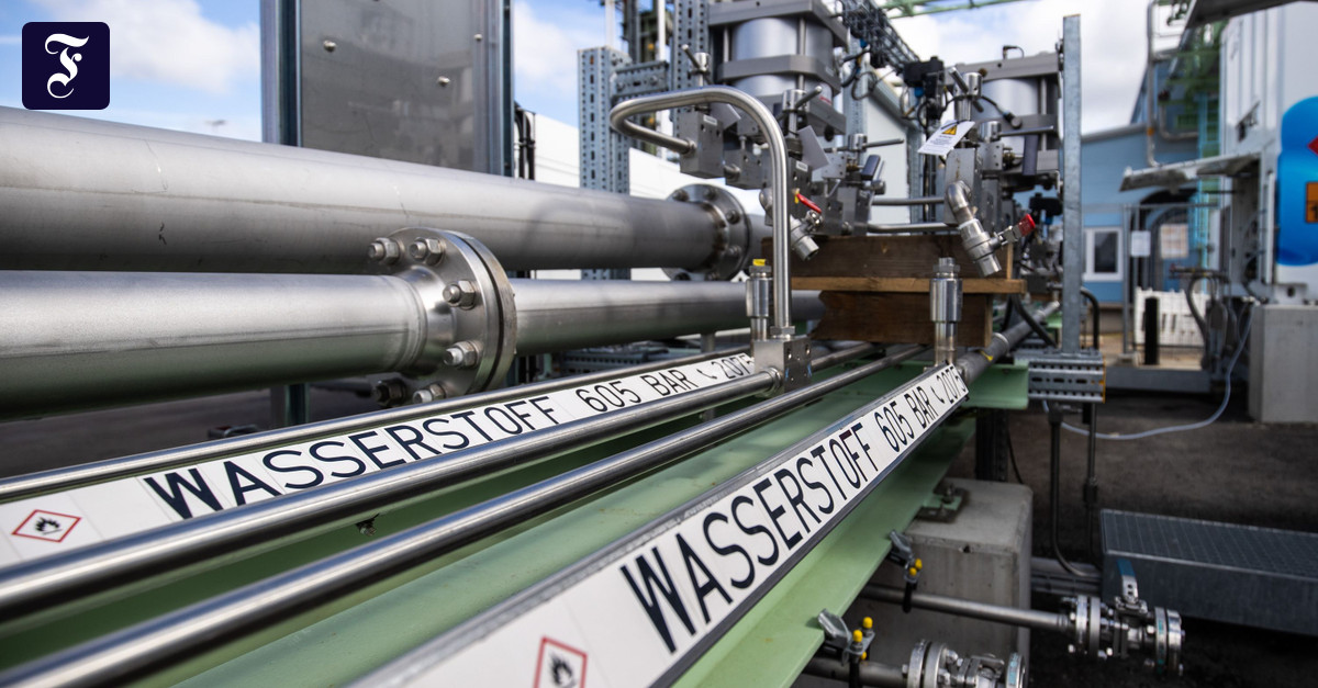 Industrial park boss Kreysing "We will have to import large quantities