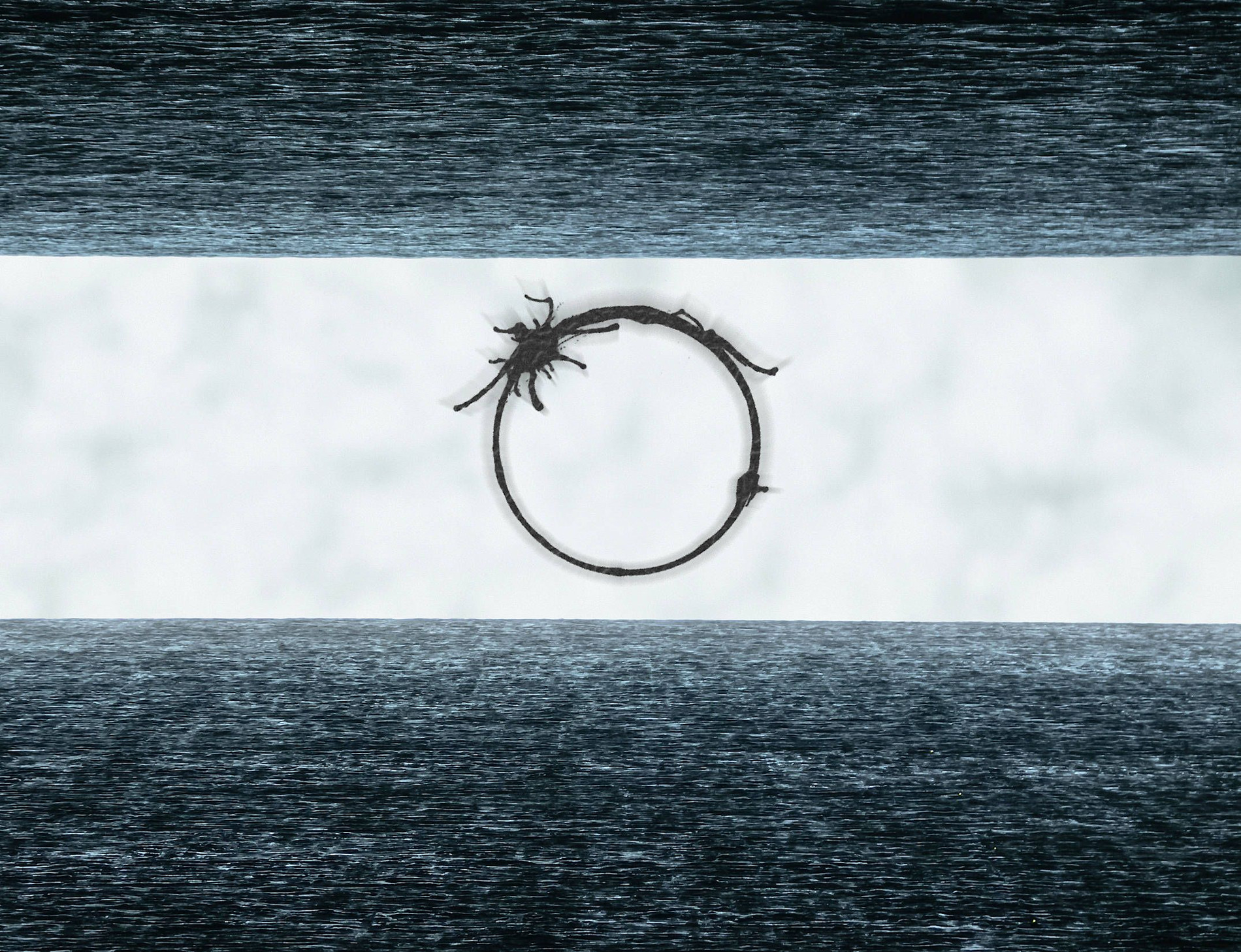 Forscher Grubeln Uber Kommunikation Mit Aliens