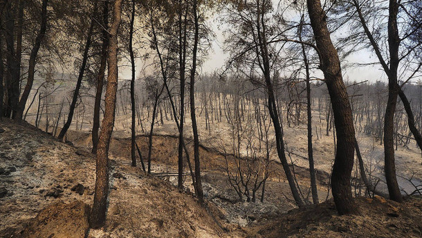 Erderwärmung „eindeutig“ menschengemacht Erderwärmung „eindeutig“ menschengemacht