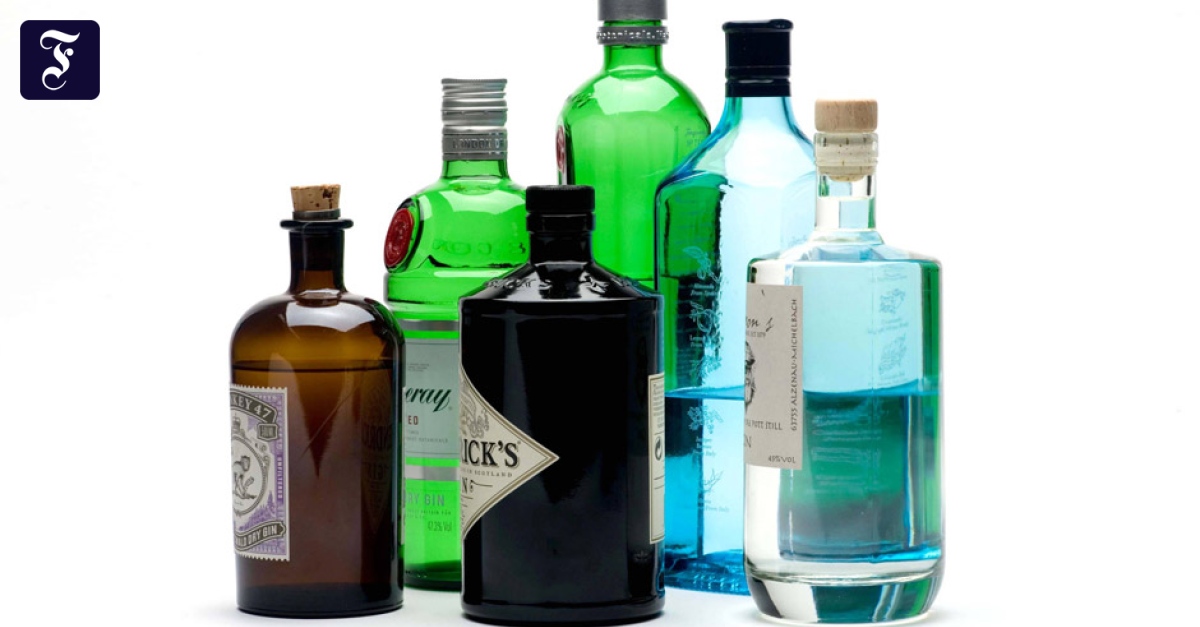 Gin Der Geist in der Flasche Essen & Trinken FAZ