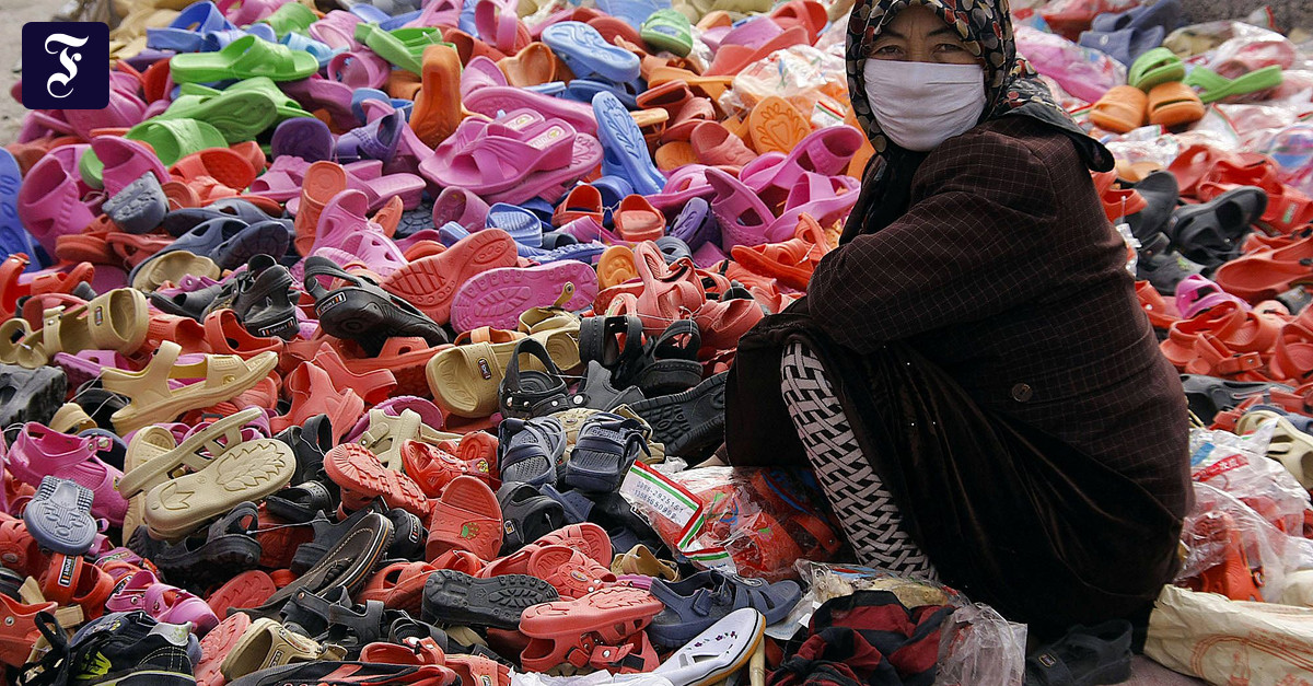 Touristen im eigenen Land die Uiguren im Blick der Wissenschaft