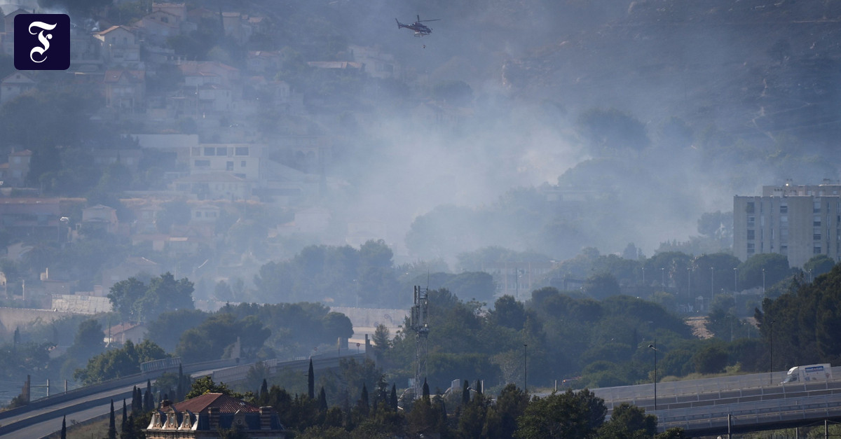 Forest fire near Marseille: More than 100 injured and new fires possible