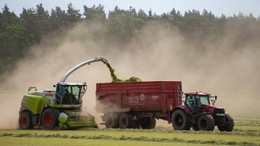 Der Schüler wollte einen Transportwagen für einen Häcksler (Bild) reinigen und verunglückte dabei tödlich. (Symbolbild)