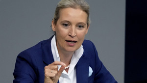Alice Weidel: News der FAZ zur AfD-Politikerin