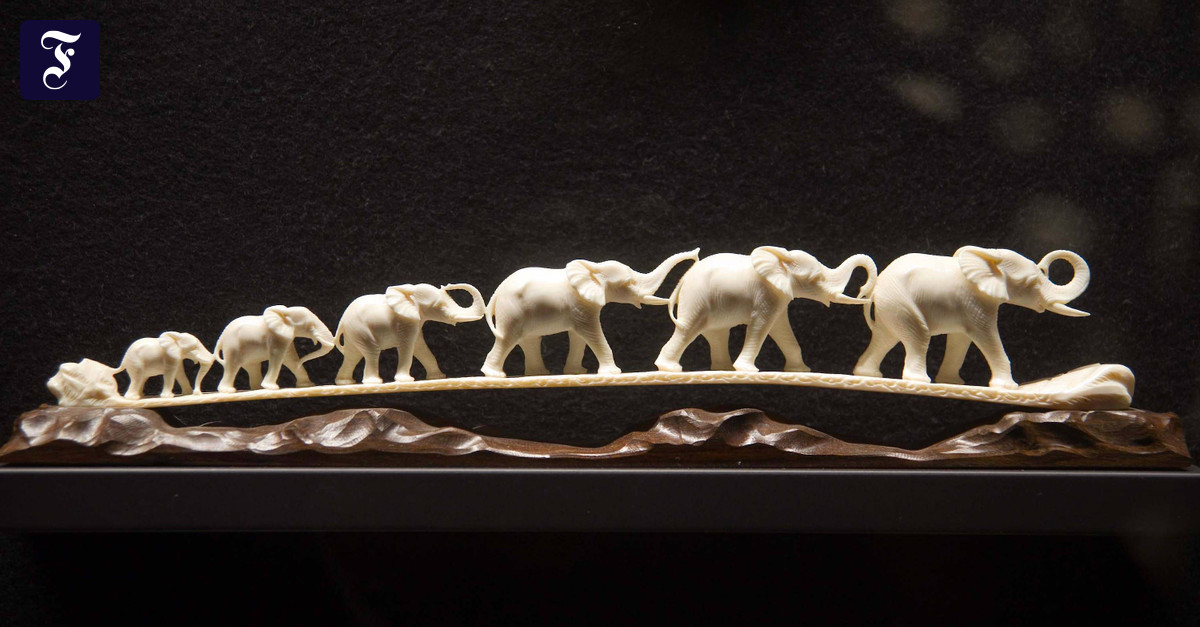 Deutsches Elfenbeinmuseum in Erbach wieder offen