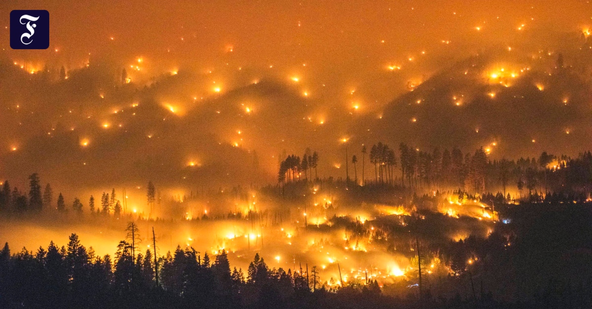 Feuer im kalifornischen Yosemite Nationalpark