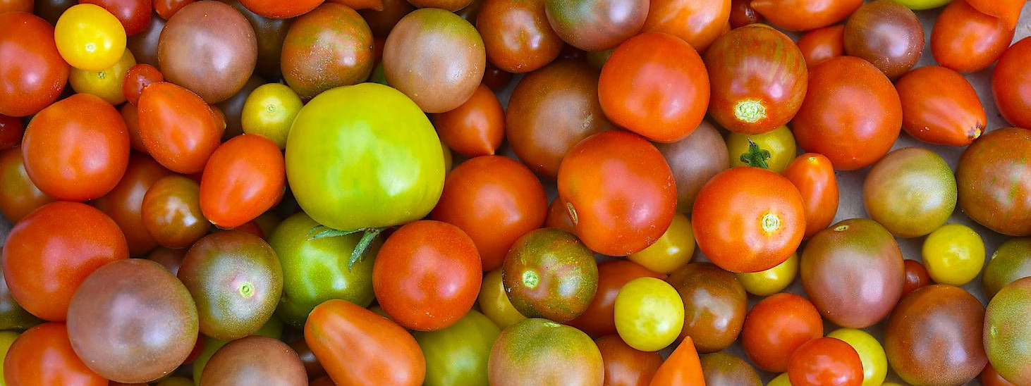 haut durch die kraft der tomaten