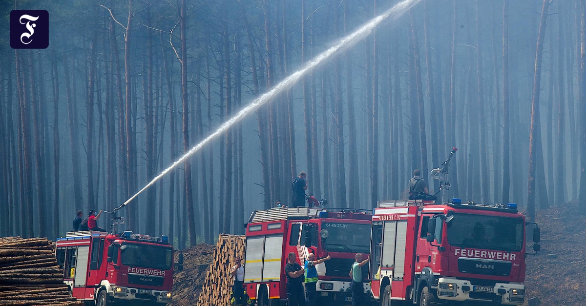 „Größter Waldbrand in der Geschichte von Mecklenburg-Vorpommern“
