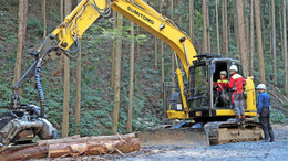 Antiallergikum auf Japanisch