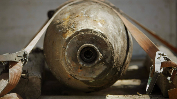 Mücke, Elefant, Tiger