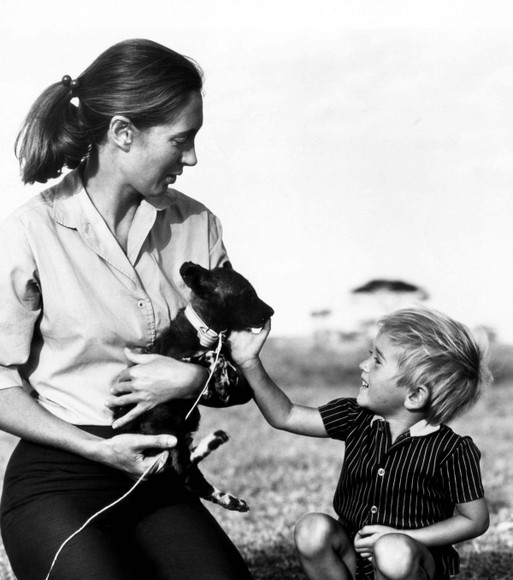 Bilderstrecke zu: Die Affenforscherin Jane Goodall wird achtzig - Bild
