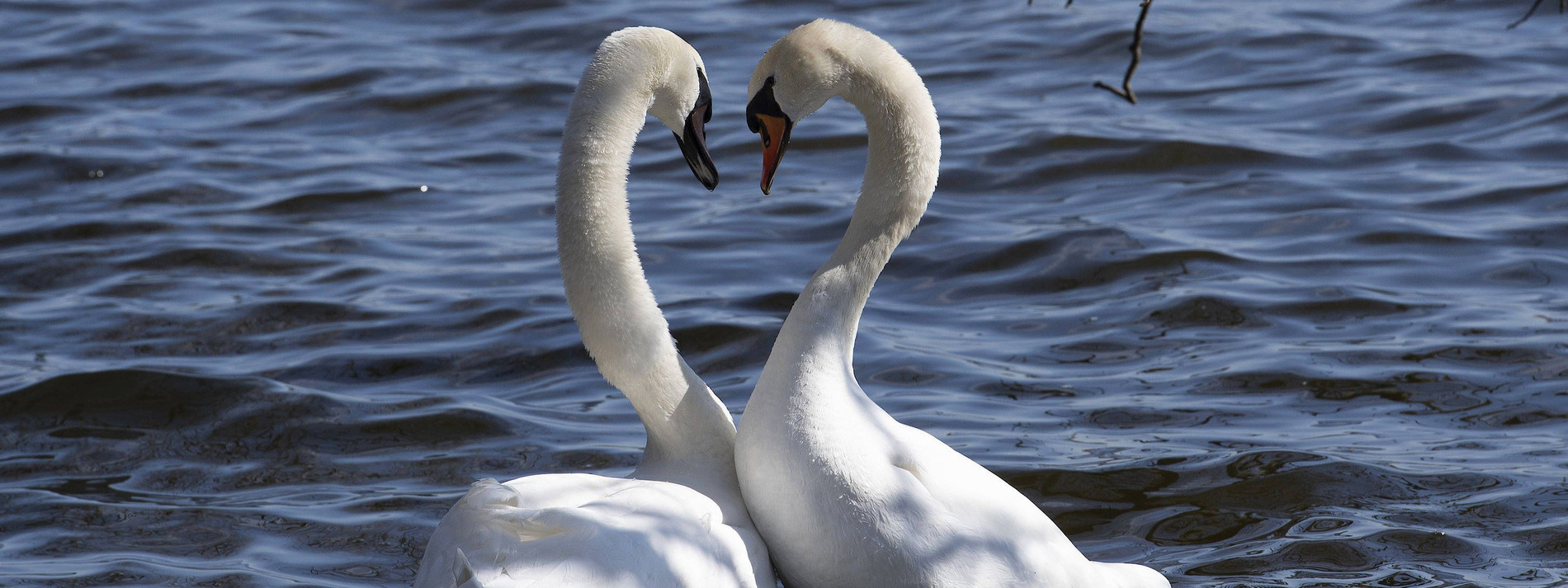 Arnold Gehlen Im Lockdown
