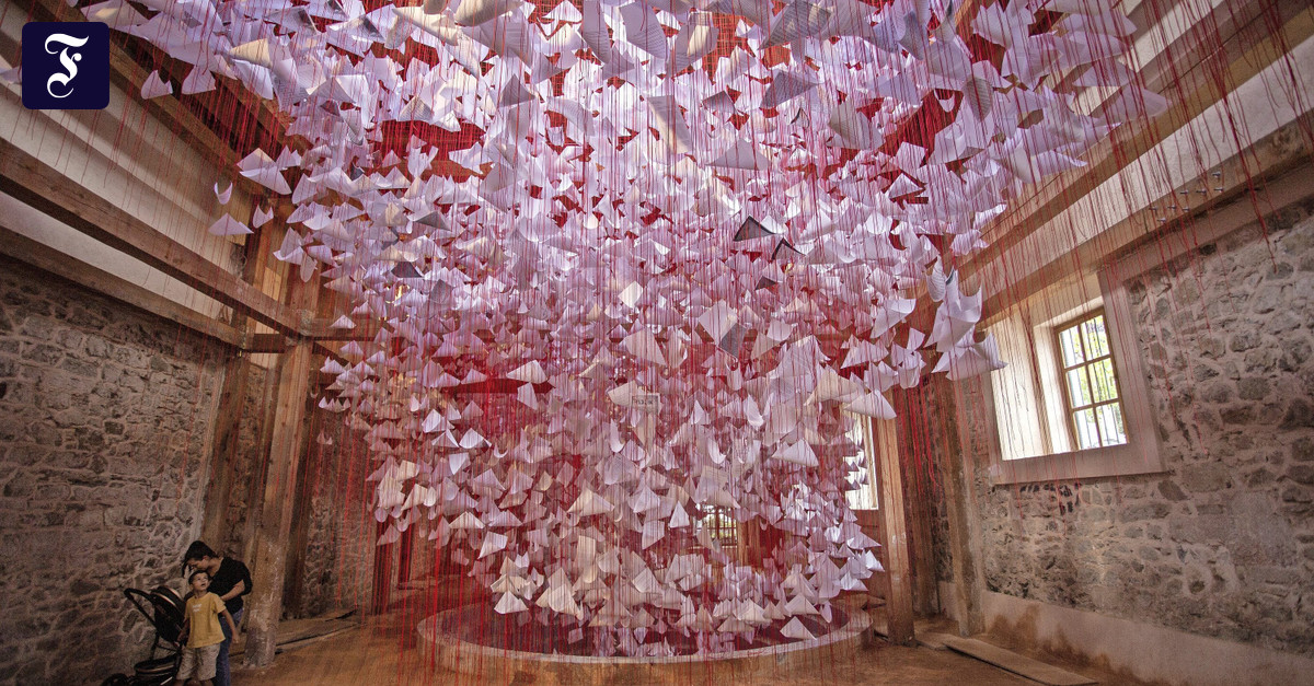 Art show Manifesta in Kosovo: Where parking spaces proliferate - Teller