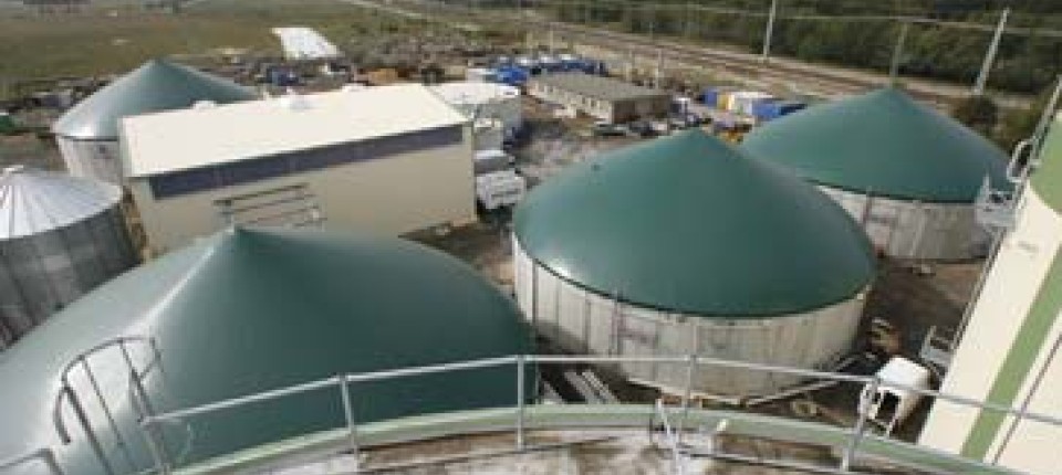 Alternative Energie Aktie Von Schmack Biogas Im Spekulationsfieber Aktien Faz