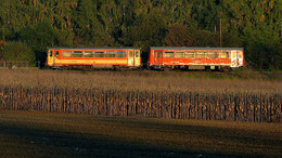Wer in Ungarn ein Handyticket für den Zug kauft, kann das bisher nur über ein Staatsmonopol tun. Der EuGH hat das nun verboten.