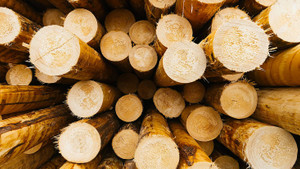 Großhandelspreise in Deutschland ziehen im Juli stark an