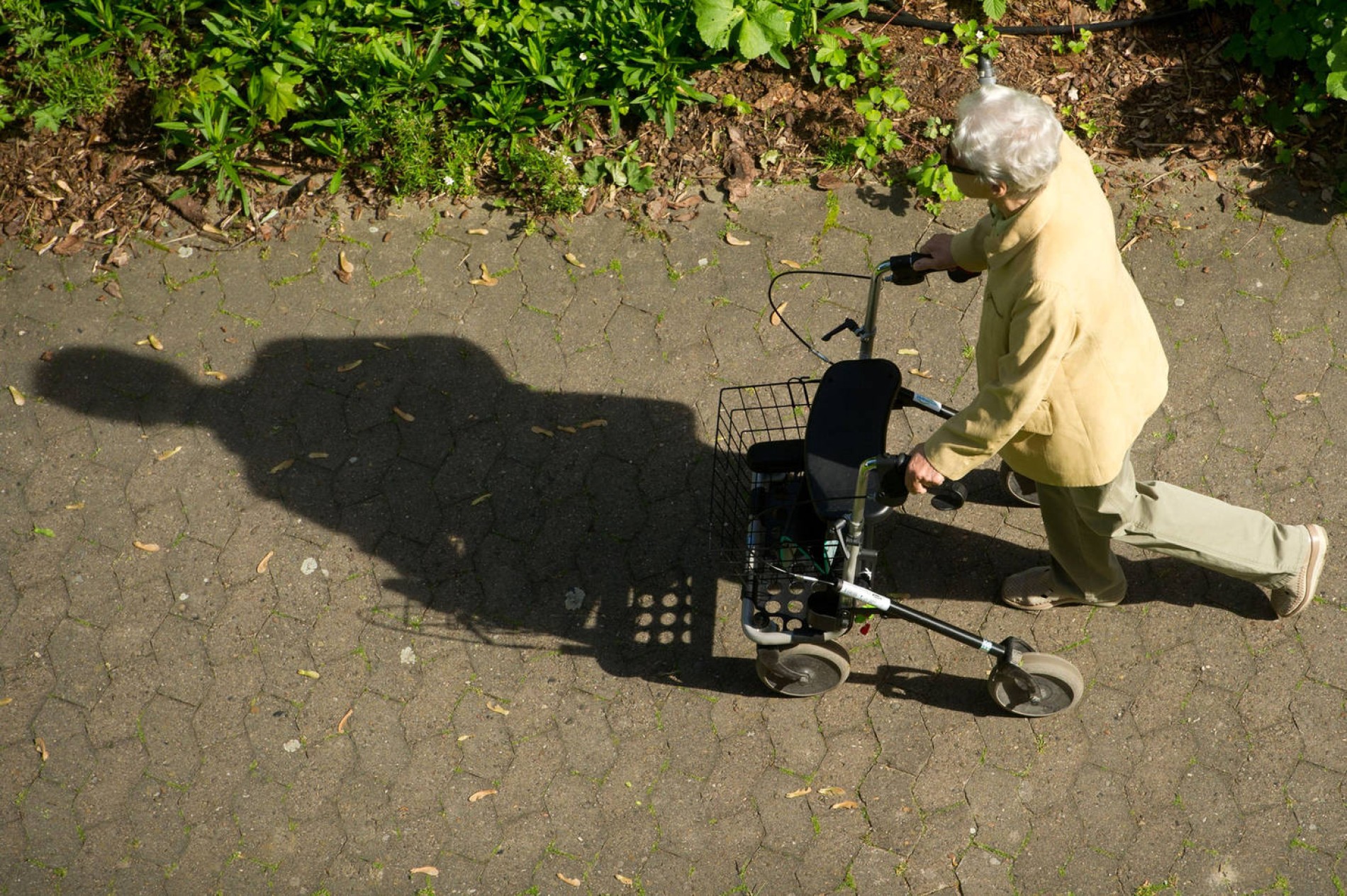 Steuererklarung Fur Rentner