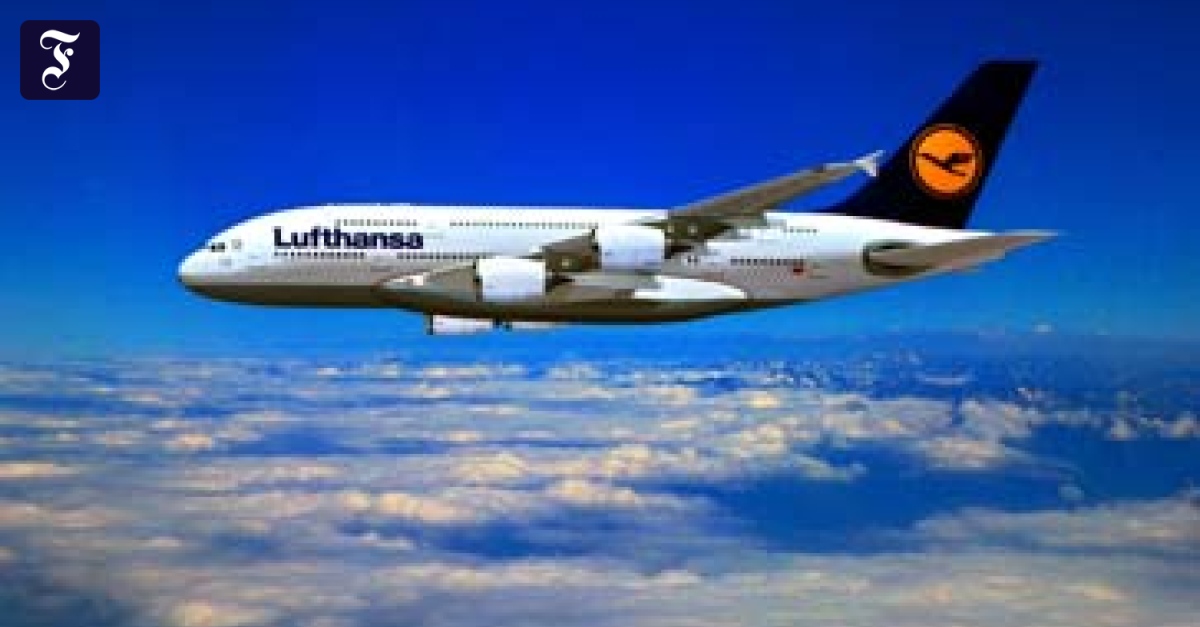 Luftfahrt: Luftschloß mit zwei Etagen - Gesellschaft - FAZ