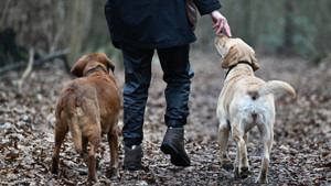 Warum man für ein Familienmitglied zahlen sollte