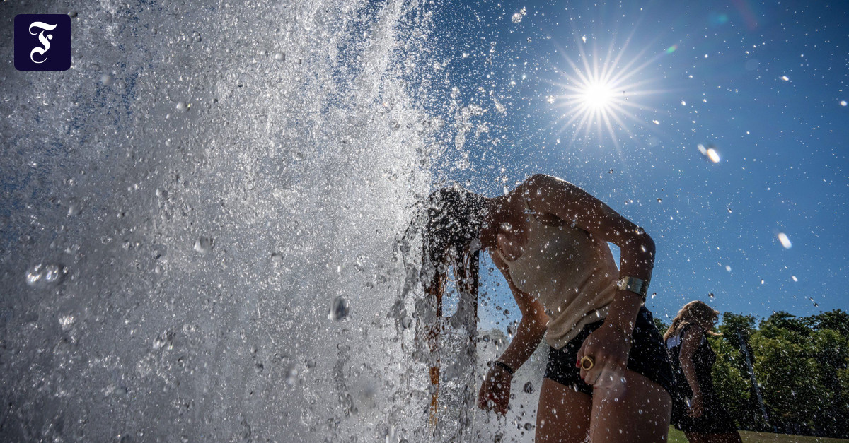 30度を超える夏の暑さ：エンジニアは都市の保護計画を求めています