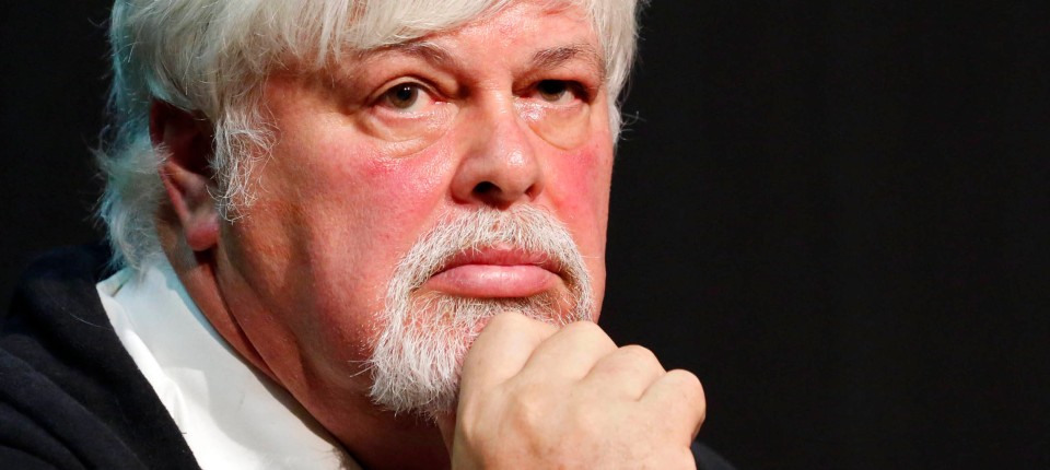 Paul watson nba image