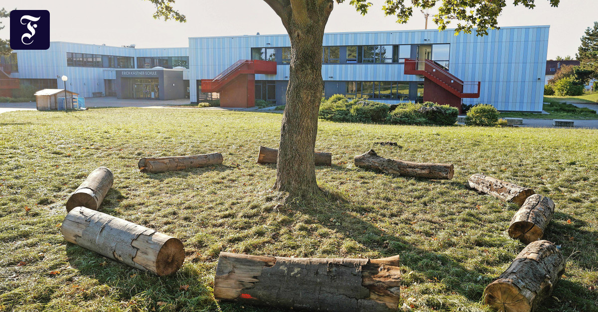 schulh-fe-in-hessen-sollen-klimafreundlicher-werden