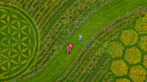 Maler schafft Kunstwerk als Insektenparadies Maler schafft Kunstwerk als Insektenparadies