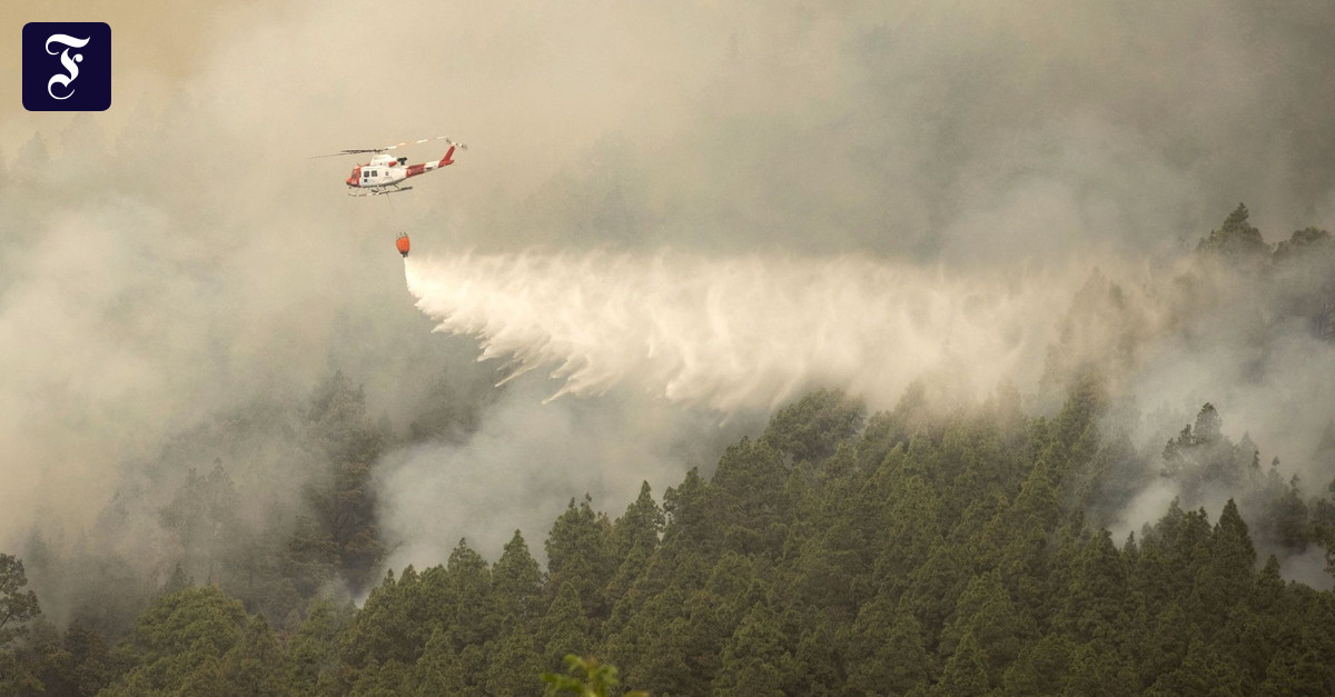 Verwunderlich Teneriffa Waldbrande Aktuell Fotos