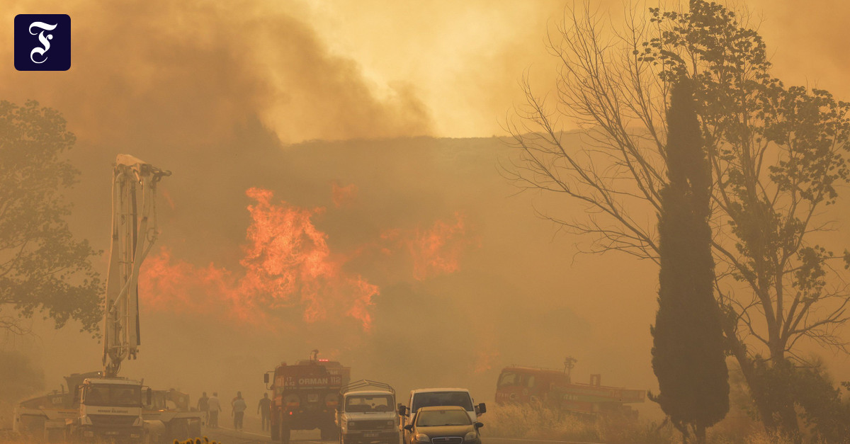 トゥルキエの山火事で少なくとも12人が死亡、数十人が負傷