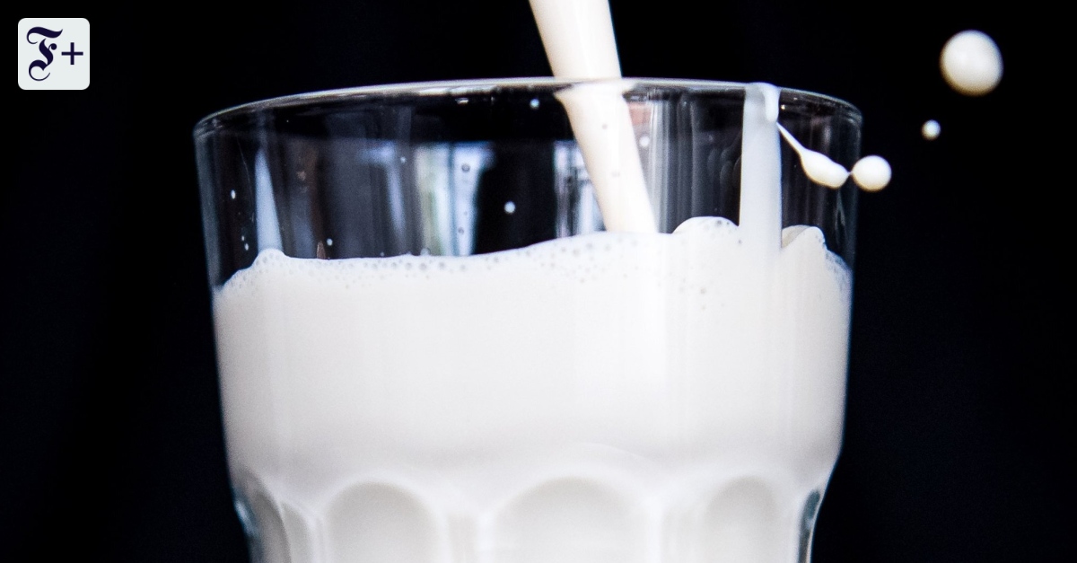 Ist Hafermilch das neue Normal? Streit um ein Getränk