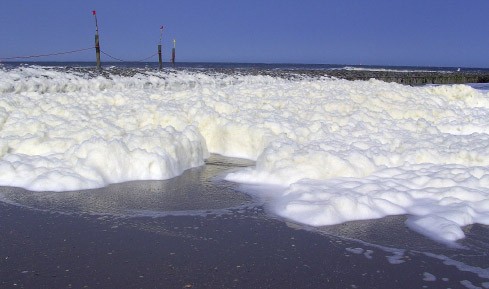 Bilderstrecke zu: Europa geht baden: Wasserqualität an den Küsten ...