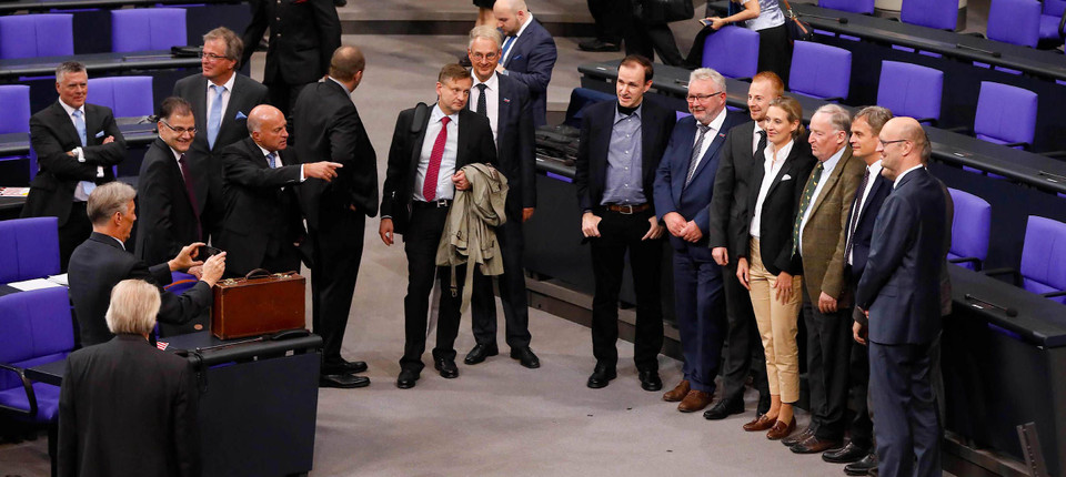 Die AfD im Bundestag: Kein Grund zur Panik - Inland - FAZ