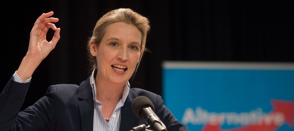 Alice Weidel Afd Politikerin Rat Ja Sagern Zur Ruckkehr In Die Turkei